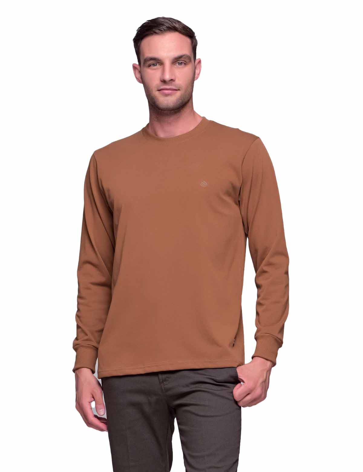 Everbest Ανδρική κάμελ βαμβακερή μπλούζα Plus size 2310160 φωτογραφία